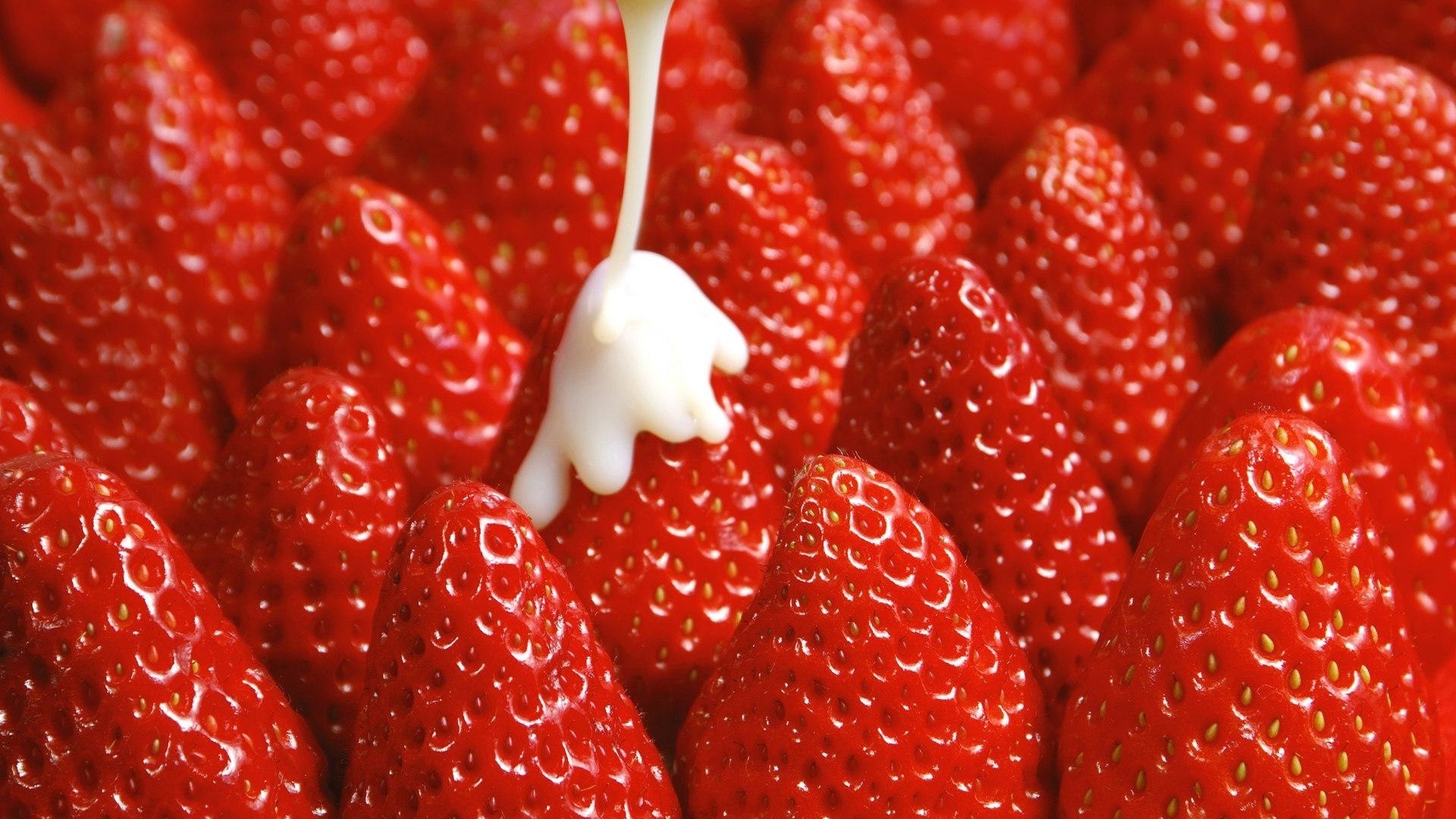 berries strawberry fruit berry juicy sweet food delicious confection freshness healthy tasty grow health refreshment diet close-up nutrition summer vibrant