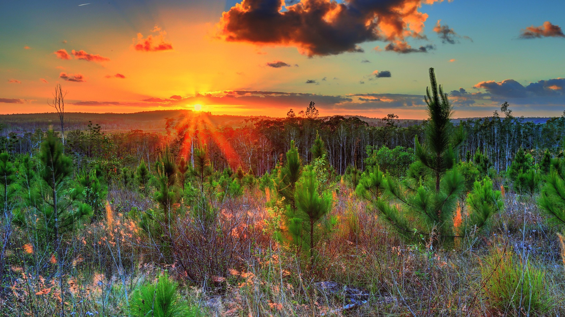 the sunset and sunrise sunset dawn landscape nature evening dusk sky sun outdoors water summer fair weather scenic tree bright grass travel