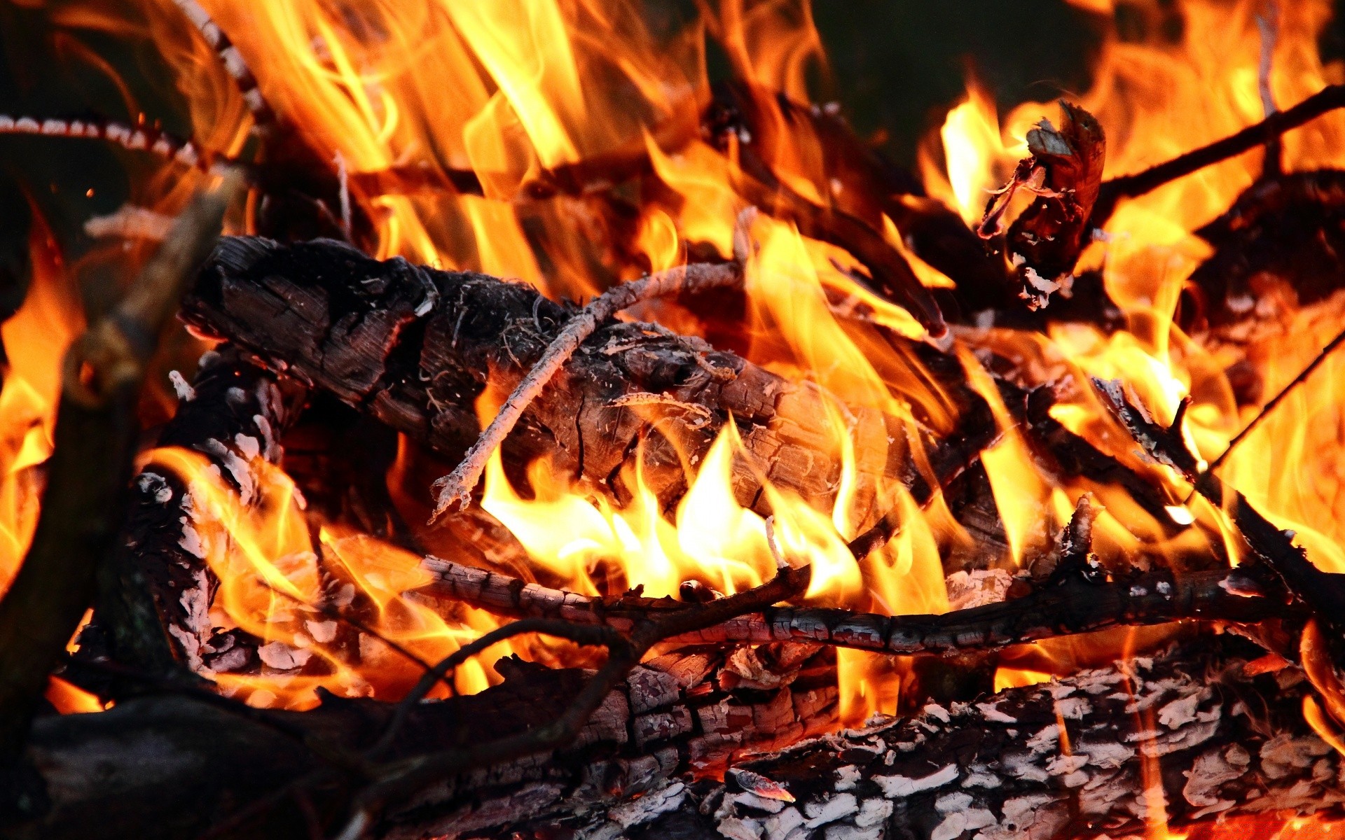 fire flame fireplace campfire bonfire firewood coal heat burn charcoal hot inferno ash warmly blaze smoke camp fuel ignite flammable wildfire
