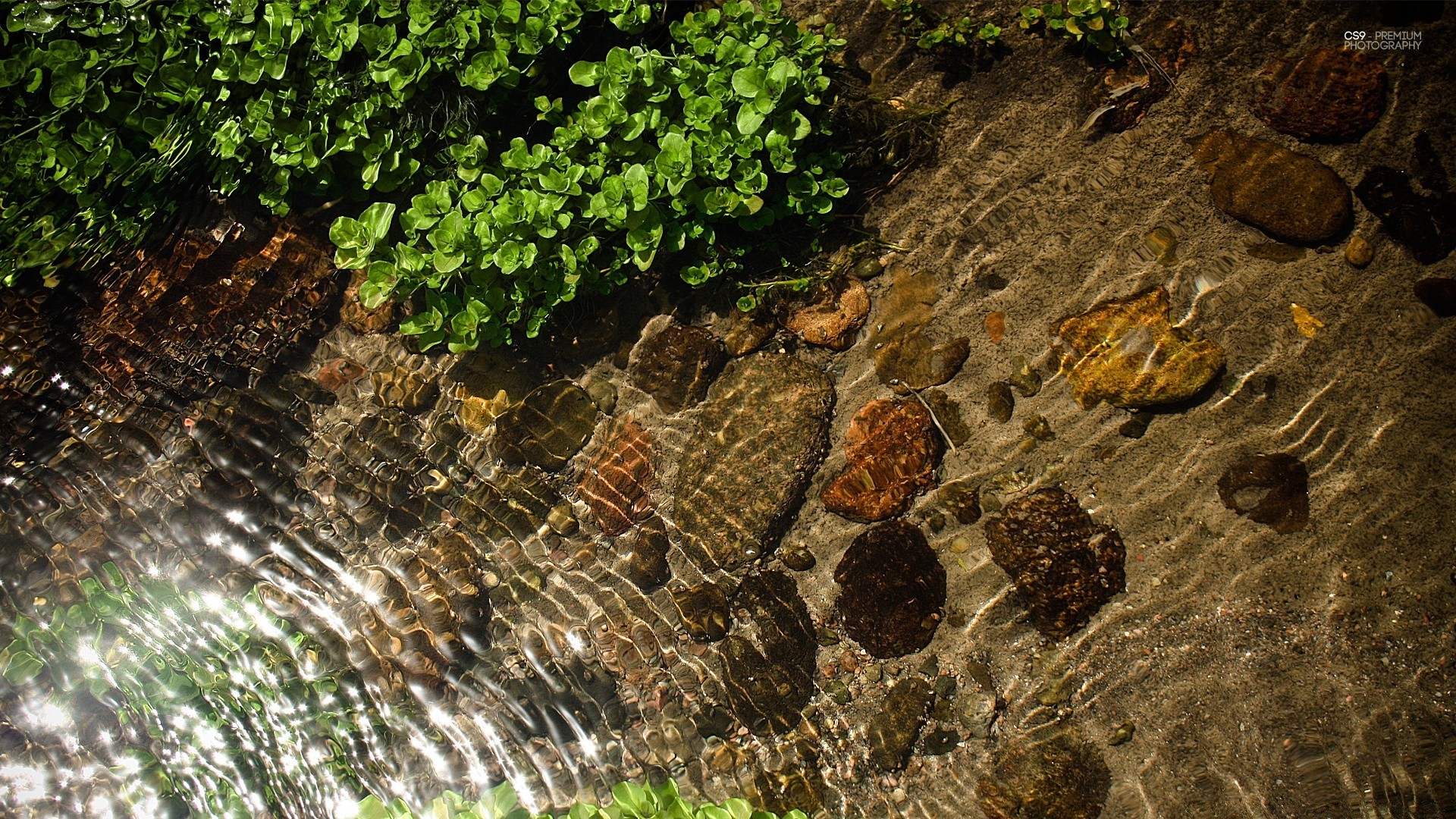 droplets and water nature water stone rock desktop