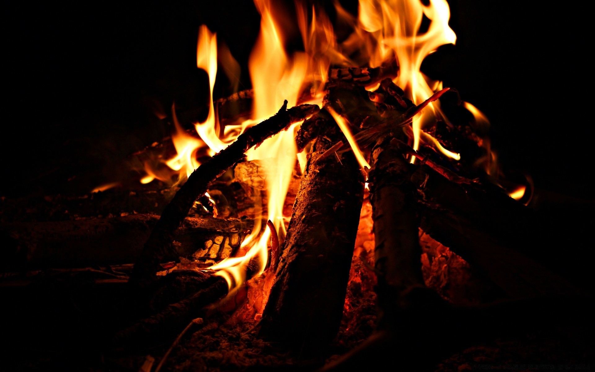 fire flame bonfire hot campfire fireplace heat firewood burn coal warmly ignite inferno burnt blaze ash flammable smoke danger wildfire charcoal