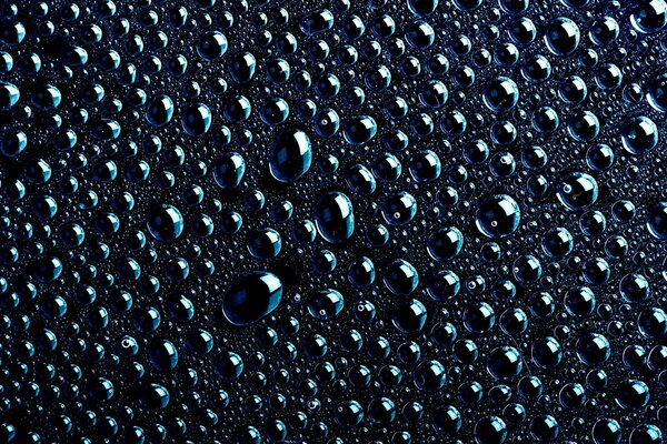 Dew drops after rain