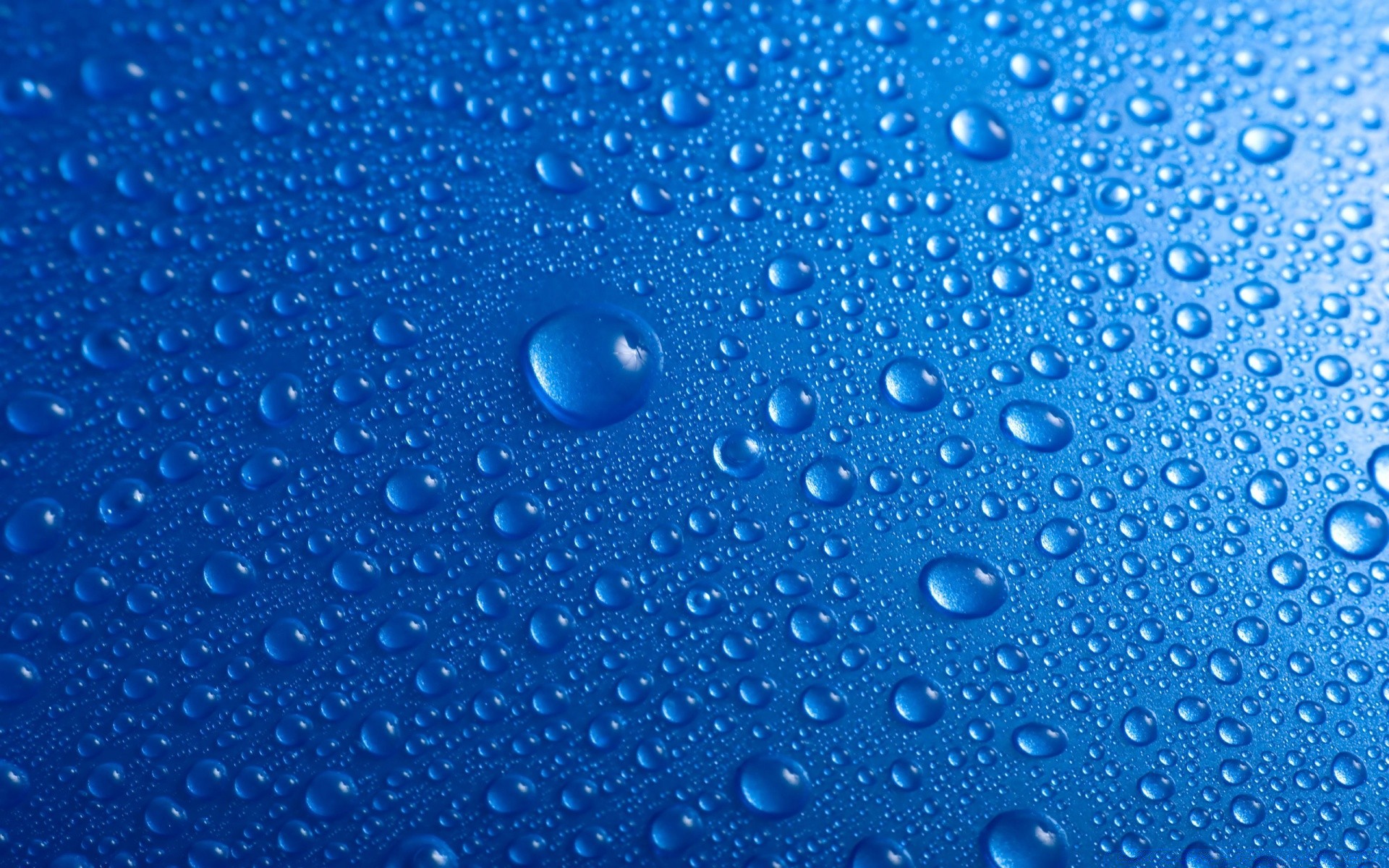 droplets and water rain wet dew drop droplet clean turquoise bubble clear water raindrop wash splash liquid purity pure waterdrop light rainy