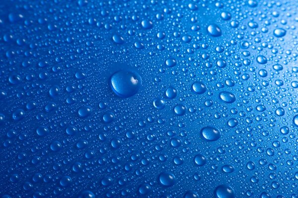 Dew drops on a blue background