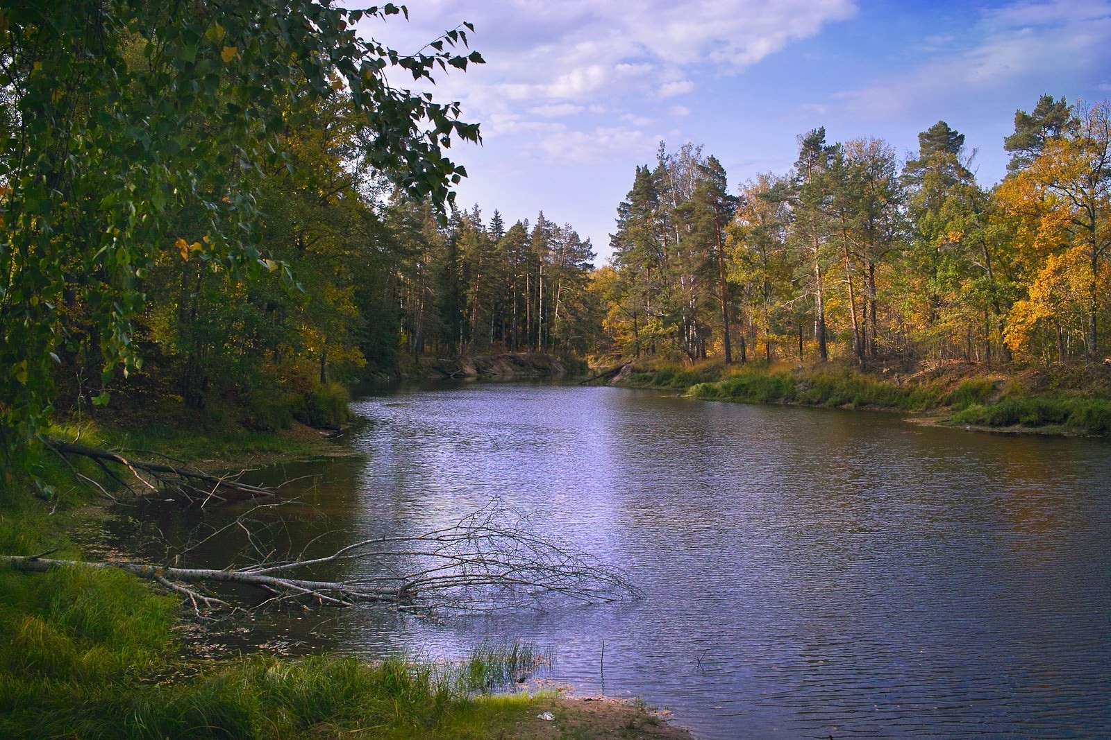 lake water tree fall river landscape nature wood reflection outdoors leaf scenic sky park pool daylight composure travel