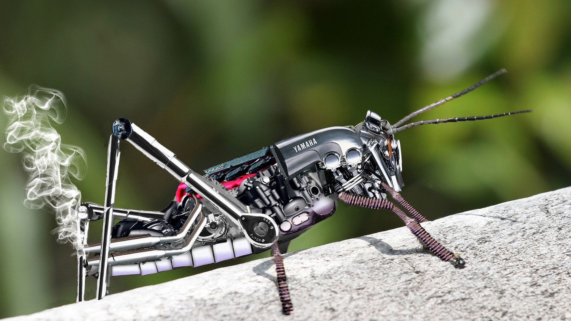 robots nature outdoors antenna insect