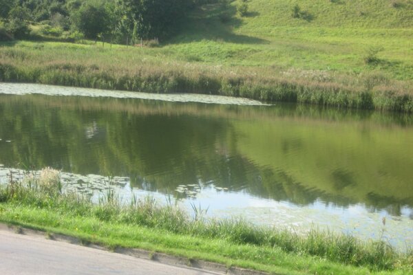 Pond. grass. hill. nature