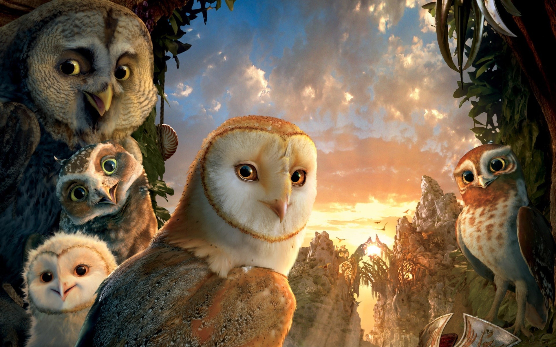 cartoons animal bird owl nature wildlife cute