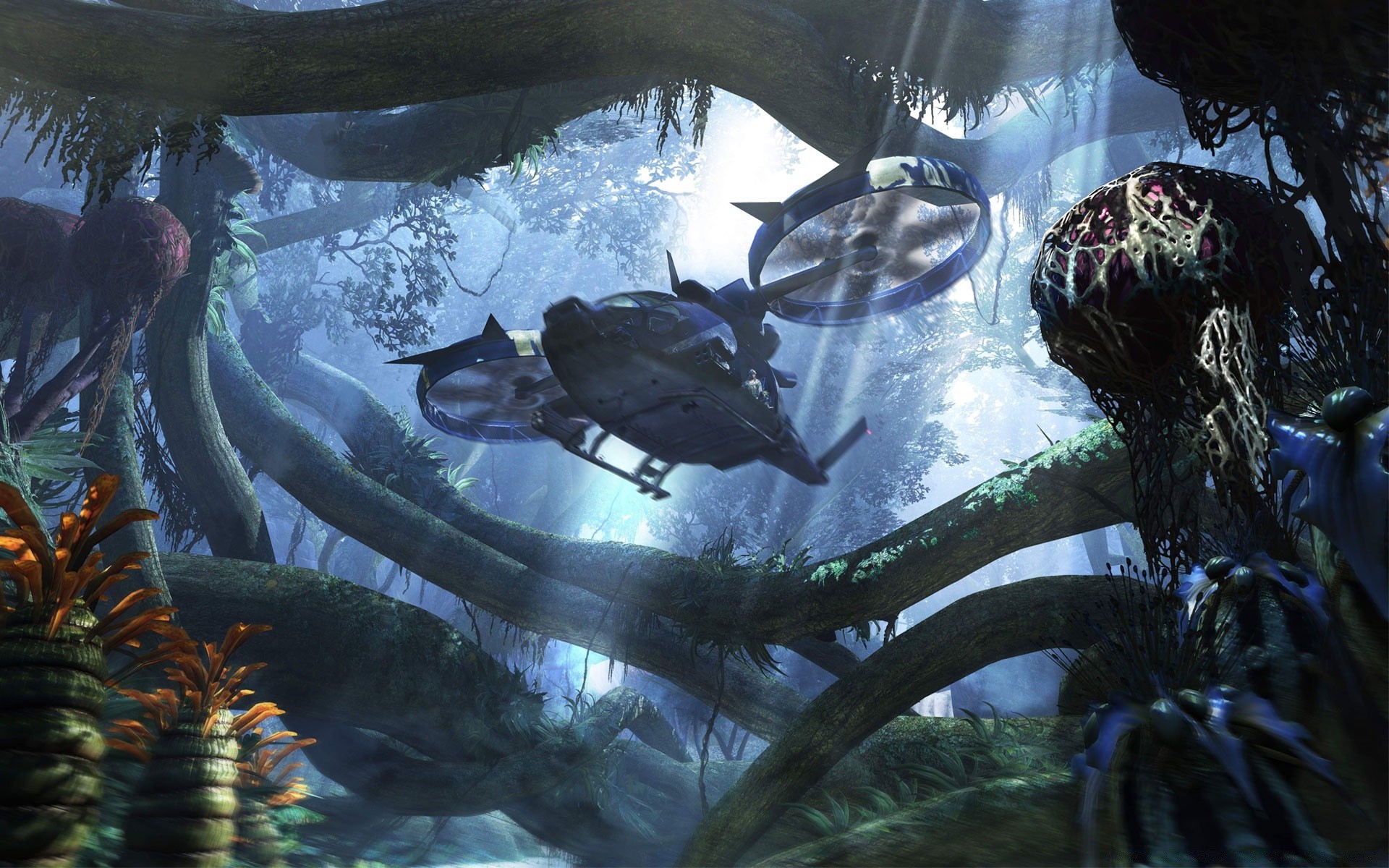 avatar underwater fish water aquarium swimming invertebrate ocean sea light diving reef environment wildlife