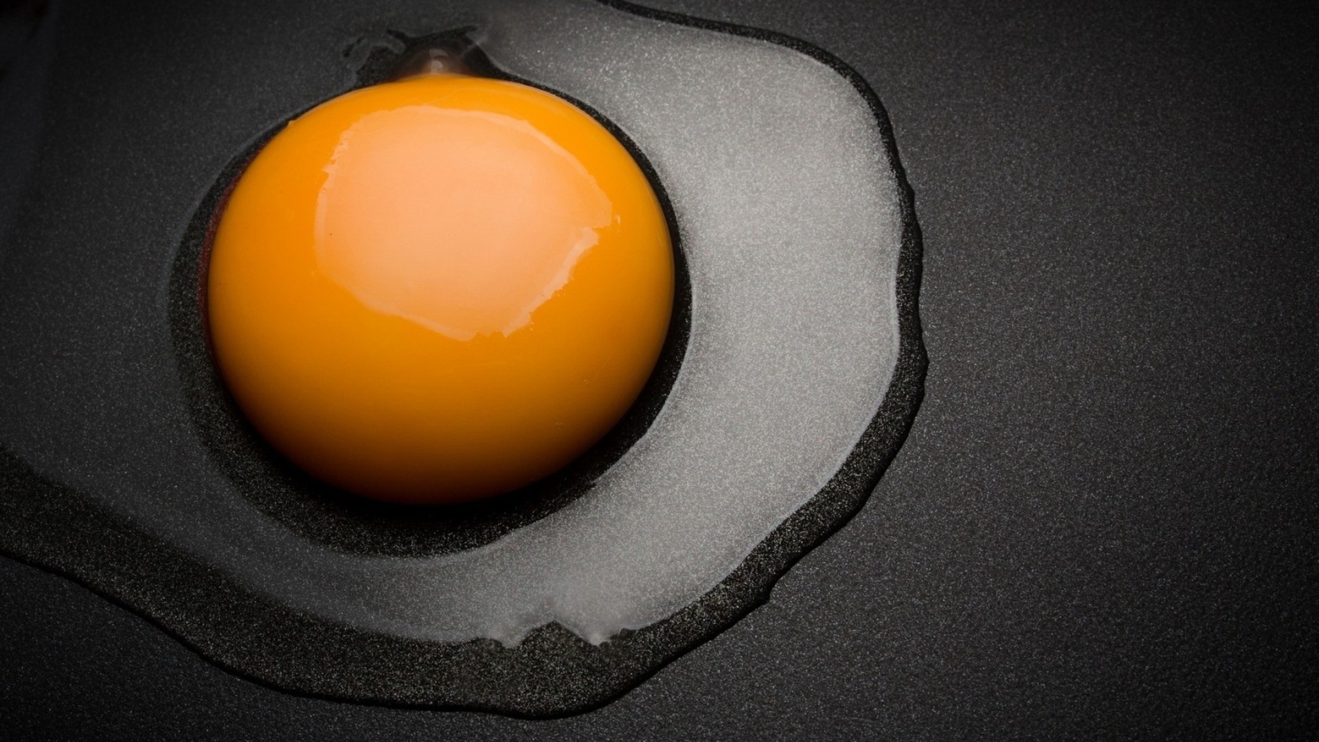 breakfast egg food still life grow desktop one egg yolk