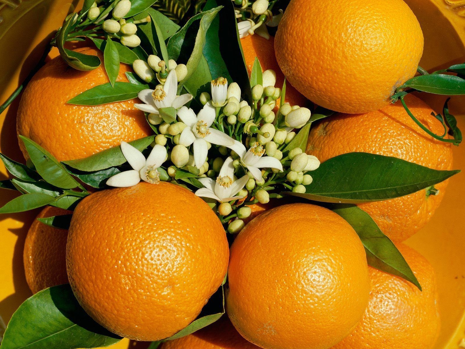 fruit citrus mandarin lemon tangerine juicy leaf juice food lime health tropical healthy confection grow grapefruit nature