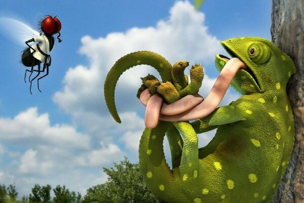 Chameleon and fly on the background of white clouds