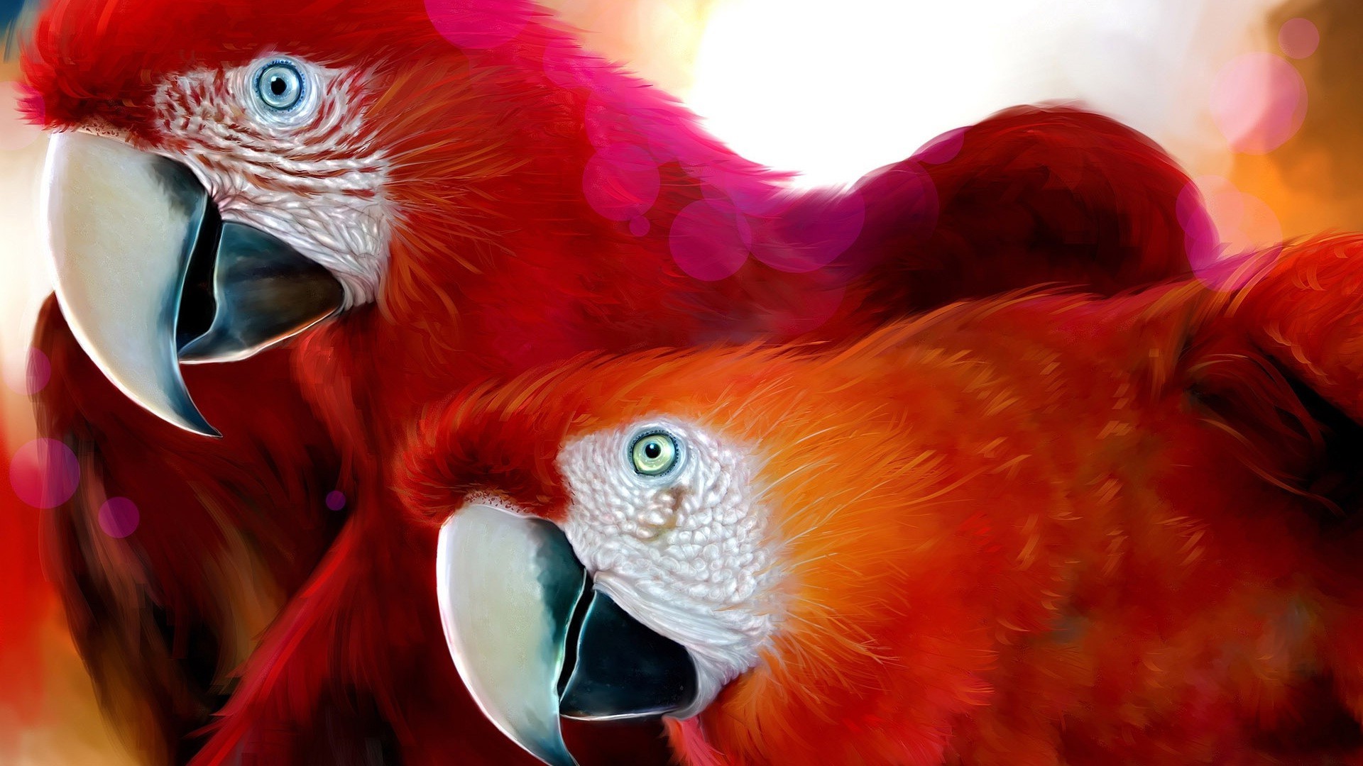 animals parrot bird feather macaw tropical zoo color portrait exotic animal beak wildlife bright