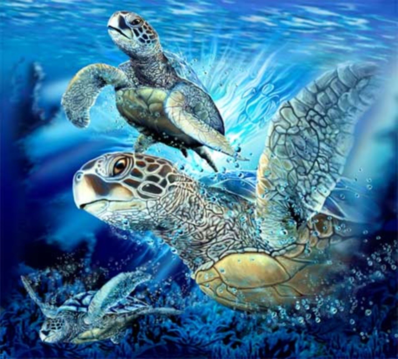 animals turtle underwater reptile sea marine ocean reef aquatic tropical animal nature swimming coral wildlife scuba water diving shell tortoise fish