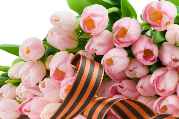Bouquet of pink tulips with St. George ribbon
