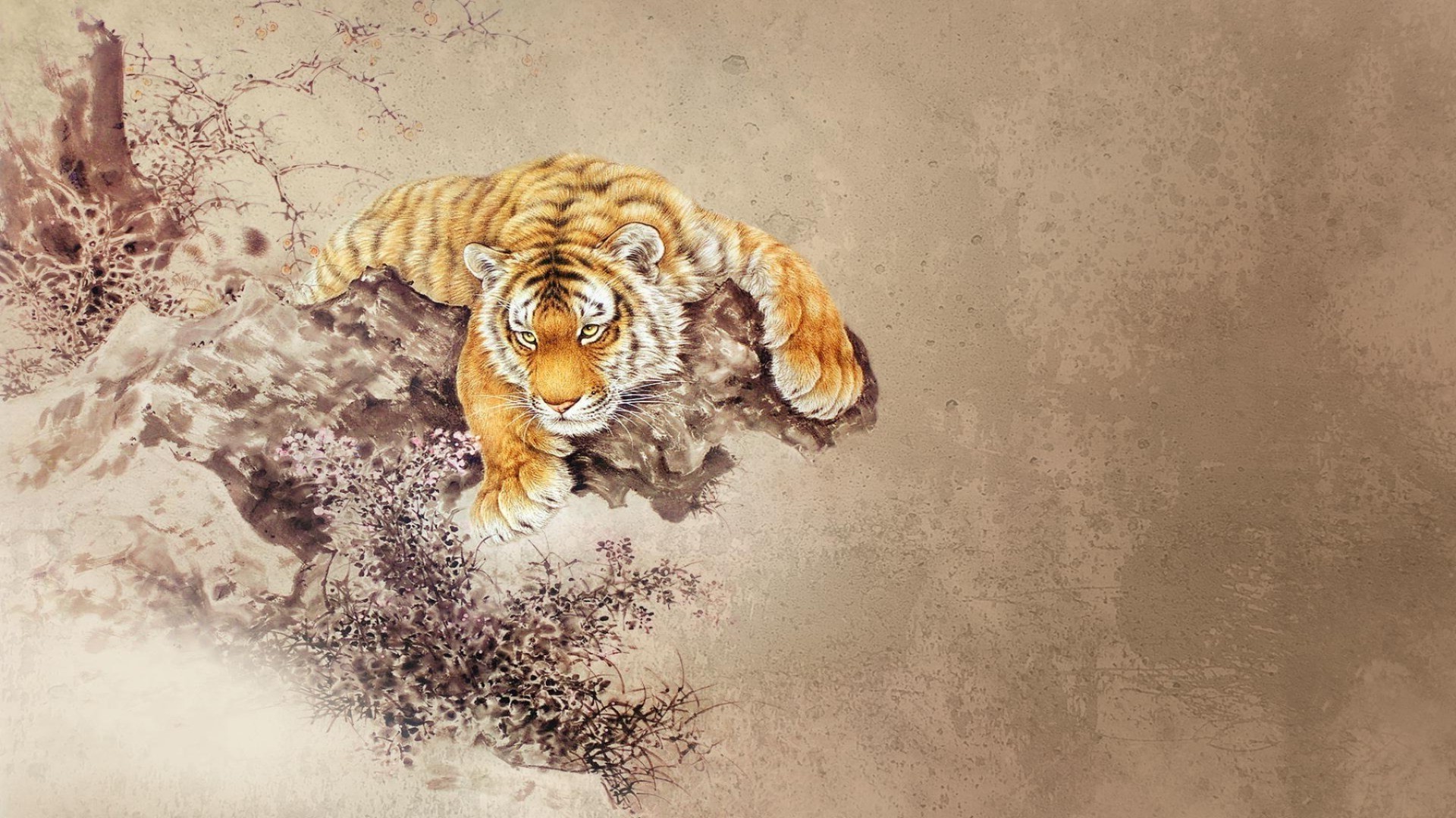 tigers mammal animal cat nature wildlife cute portrait desktop