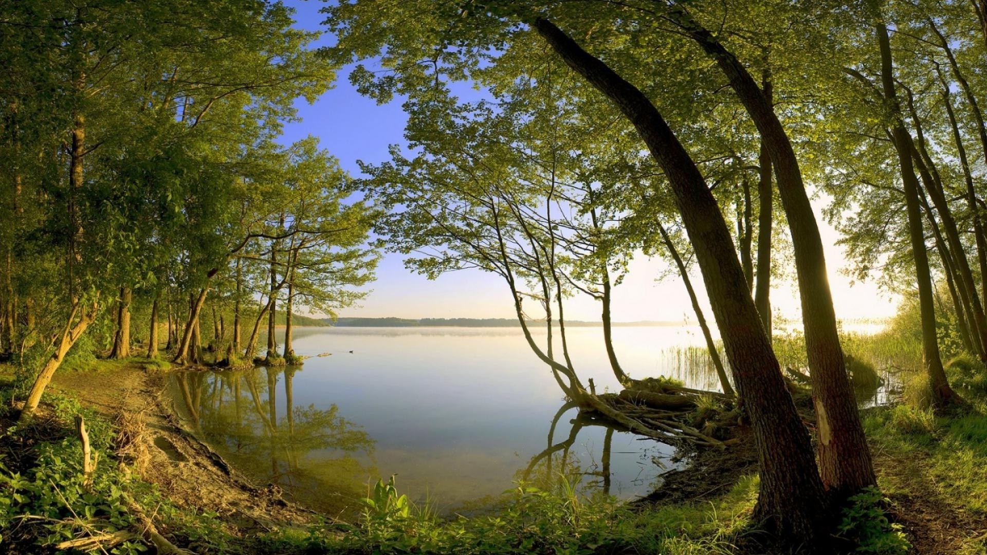 lake landscape water tree wood nature leaf reflection dawn summer park scenic outdoors environment grass river sun light fall