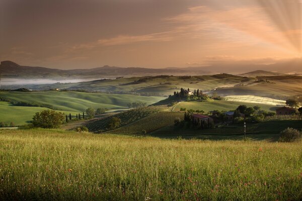 Beautiful landscape of meadows and sunset
