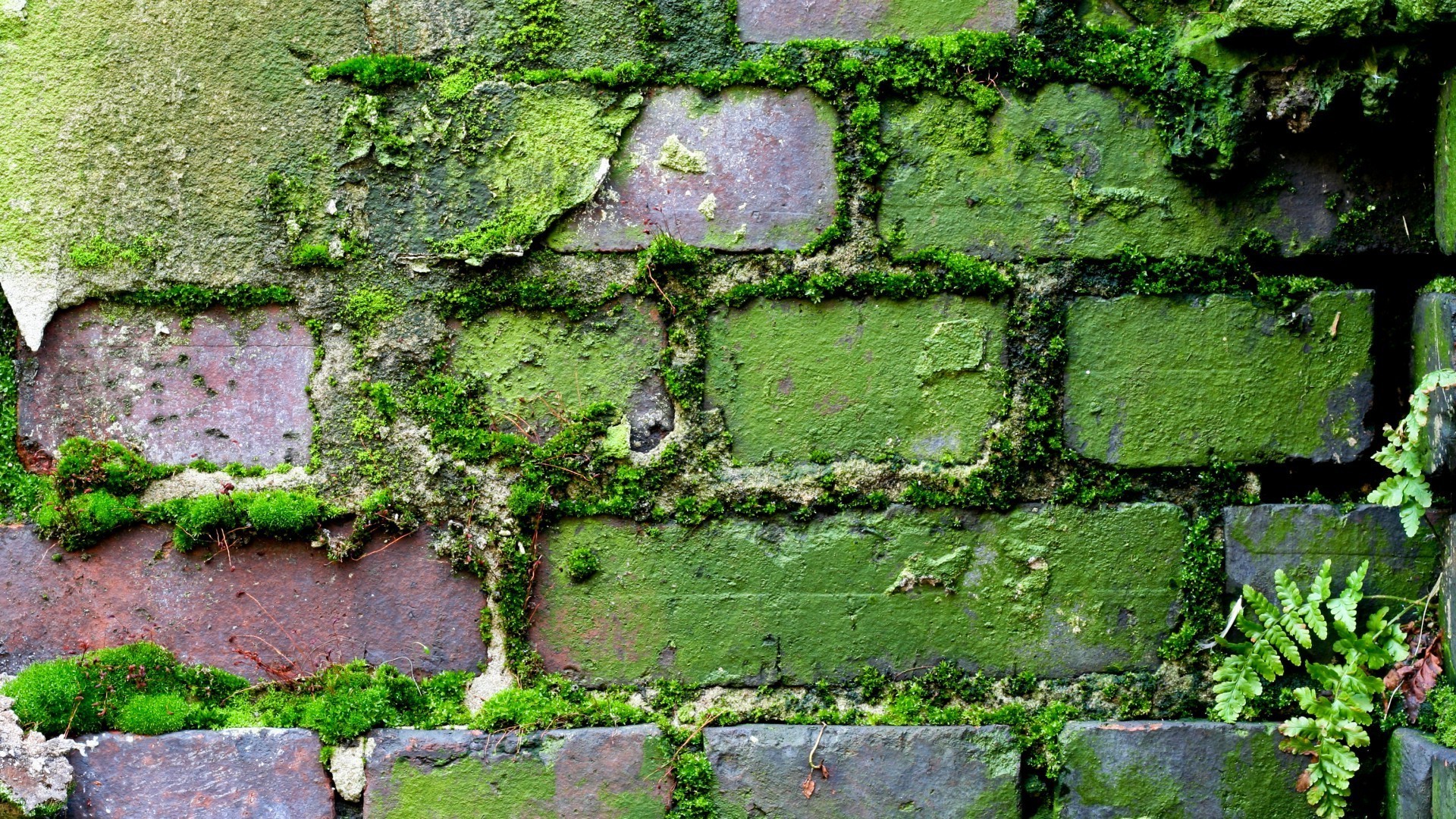 concrete wall texture desktop pattern old surface stone rough abstract construction expression brick background cement exterior wallpaper fabric flora building