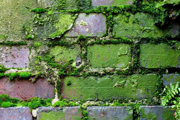 Desktop background concrete walls