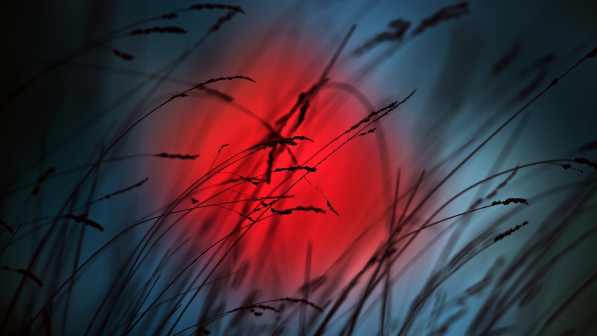bright colors nature sun art abstract dawn