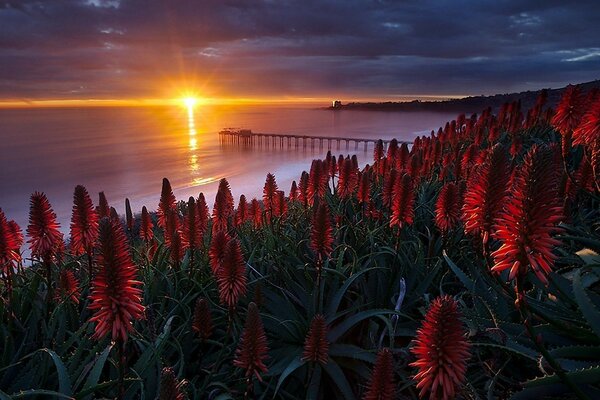Night and day landscapes: sunset and dawn