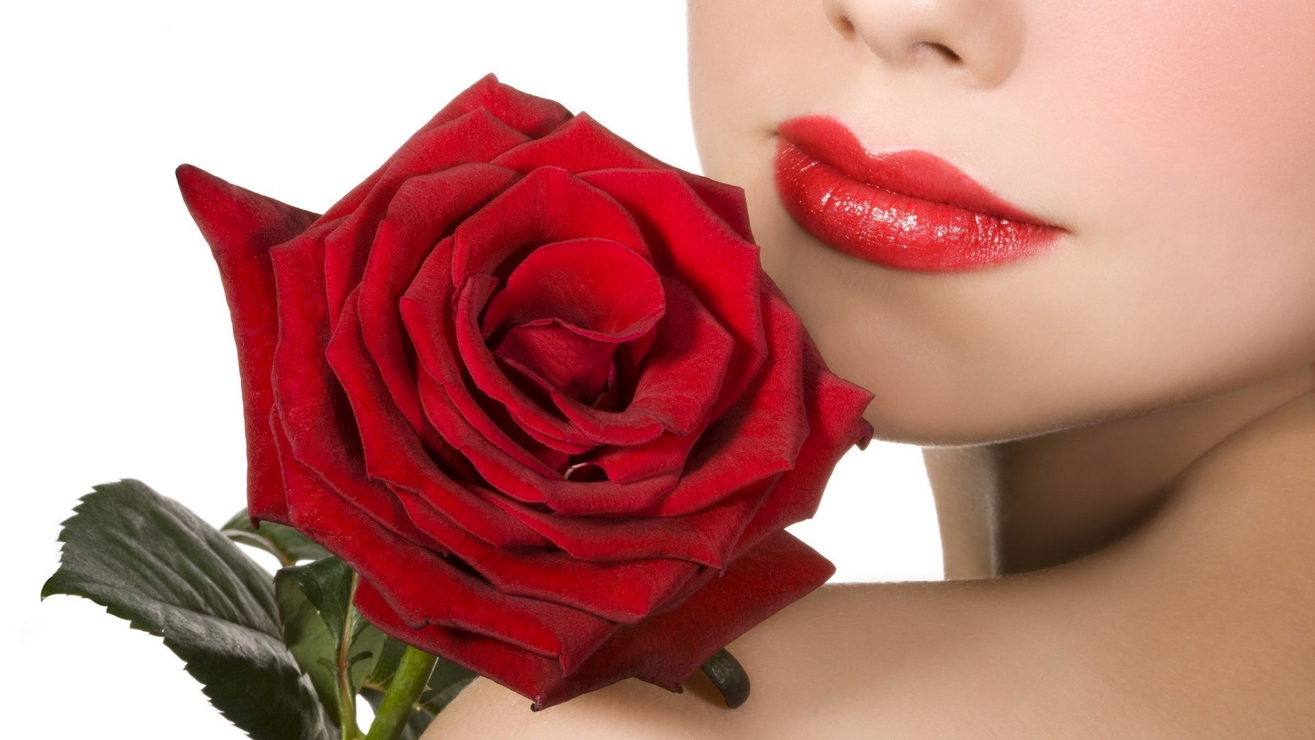 flowers rose love flower woman romance girl beautiful glamour elegant sexy fashion