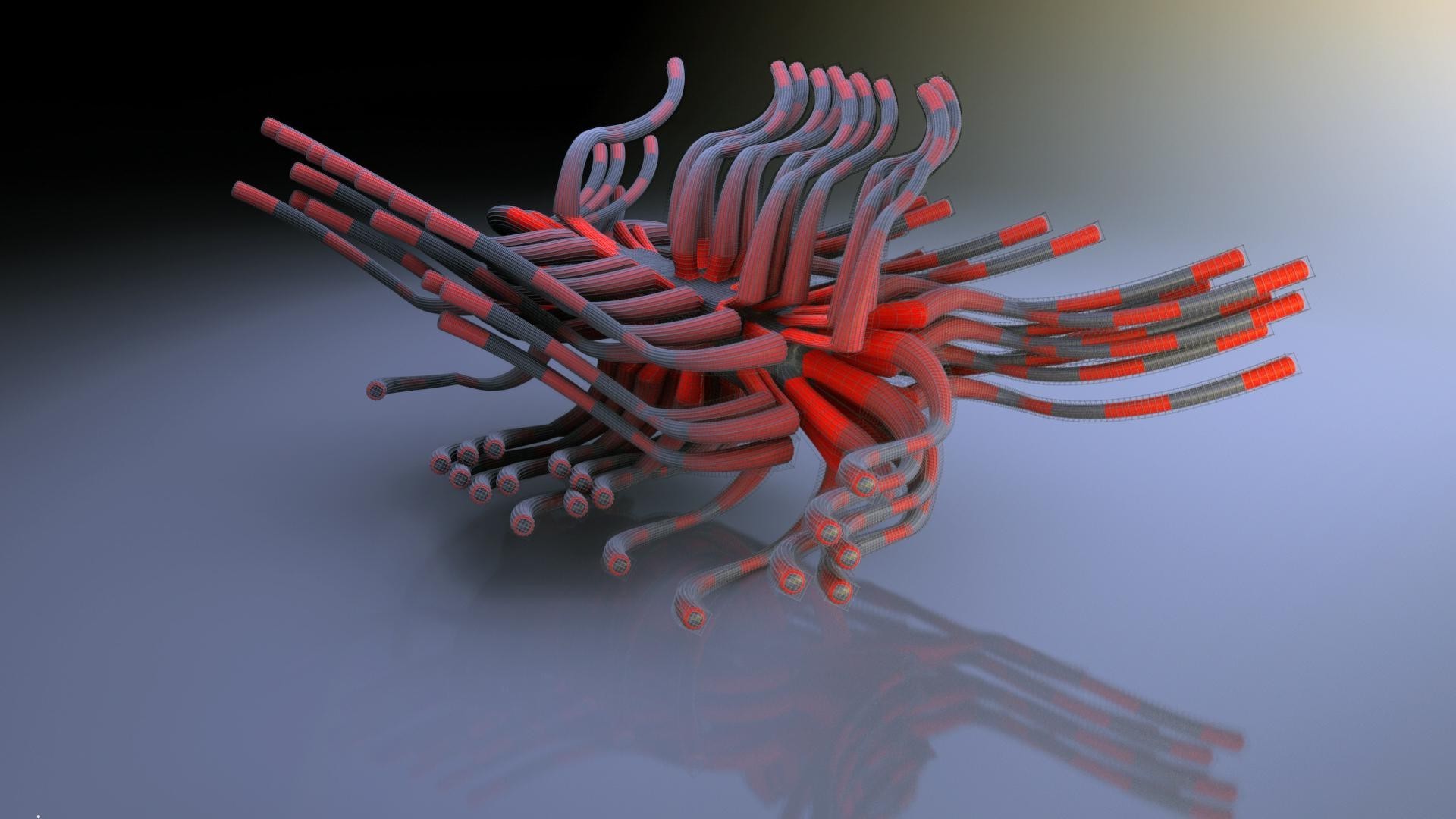 abstract desktop christmas color biology