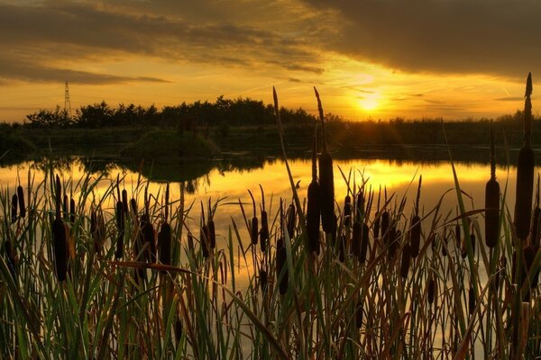 Beautiful and juicy sunset on the water