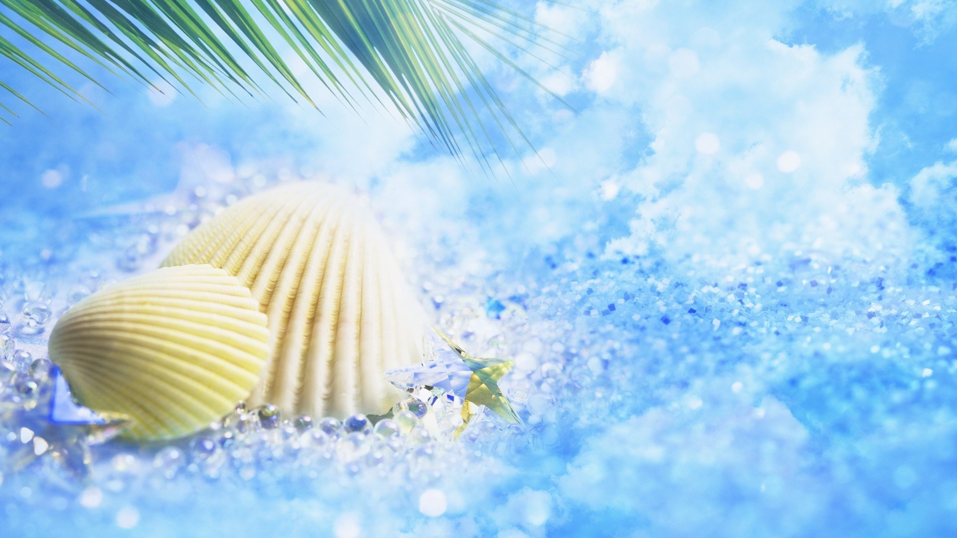 sea and ocean outdoors nature summer fair weather winter bright desktop sky tropical travel daylight seashell vacation