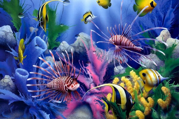 Bright fish swimming in corals