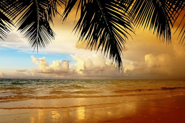 Tropical time at sunset