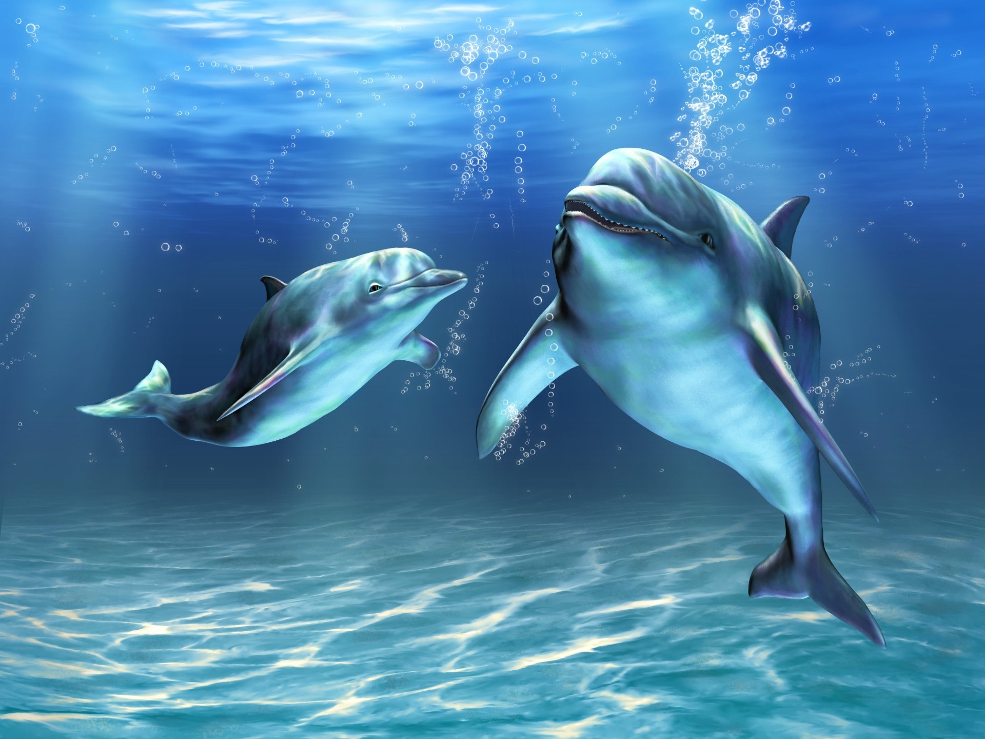dolphin underwater fish swimming water diving ocean shark blower whale aquarium wildlife snorkeling coral sea