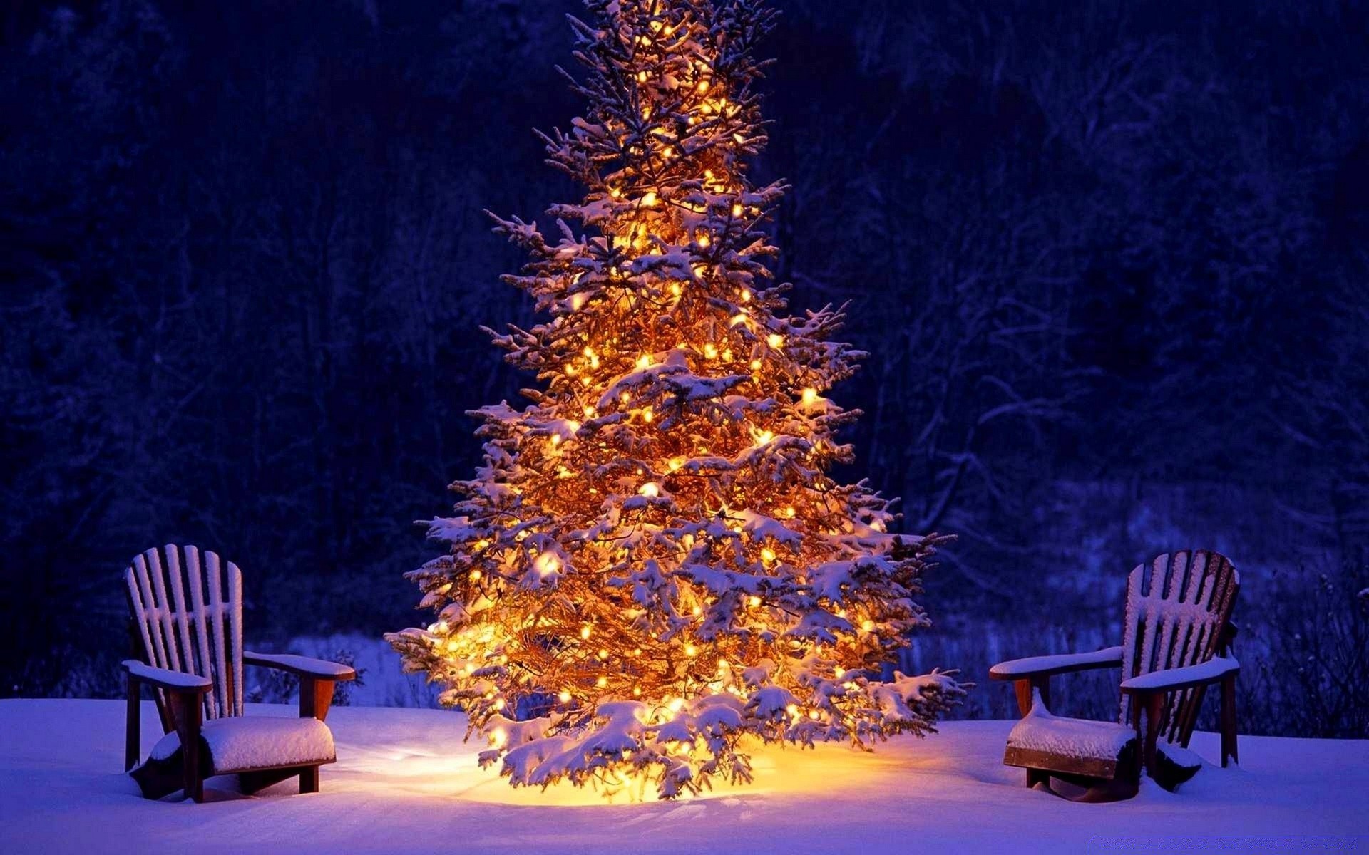 christmas chair bench seat wood outdoors winter tree evening snow travel relaxation