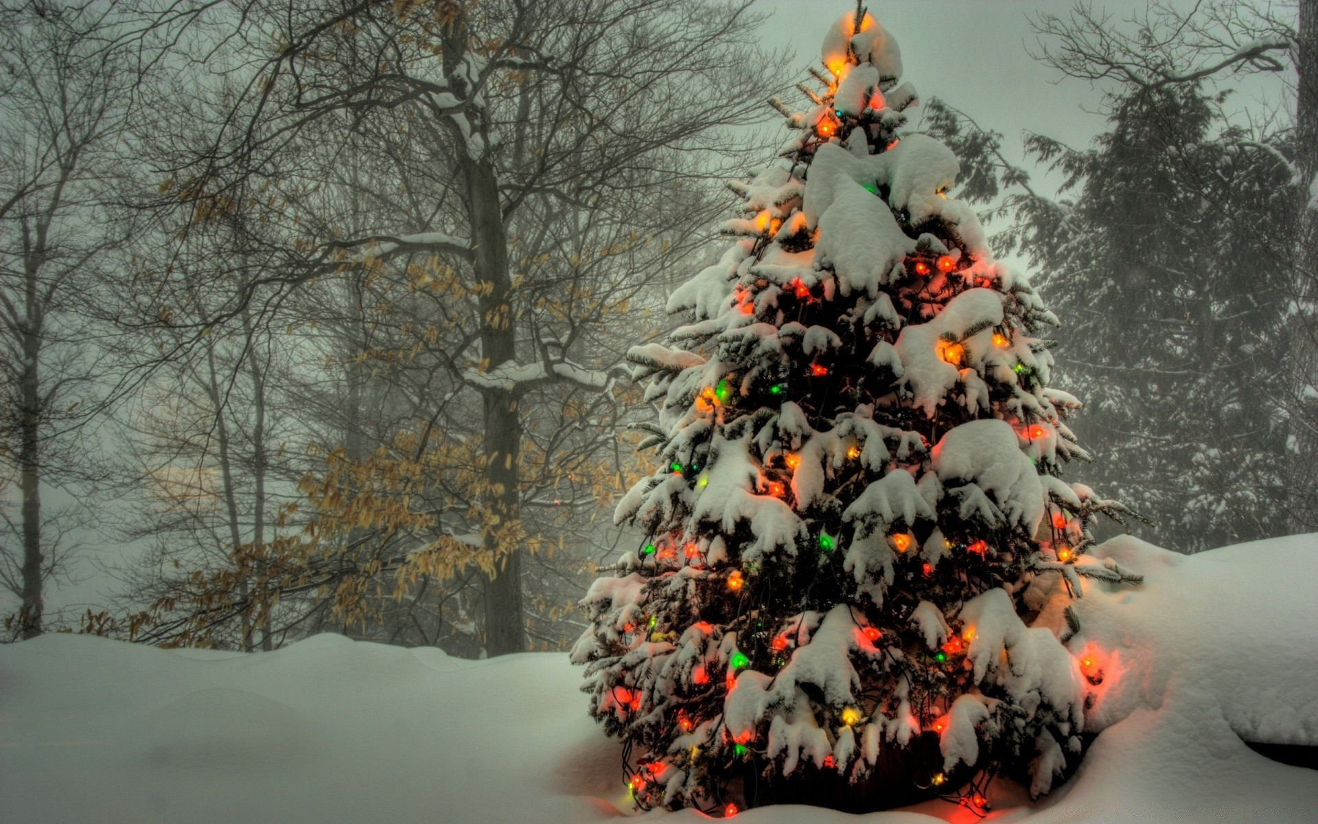 christmas winter snow tree frost cold weather frozen ice wood branch outdoors season landscape daylight fall snowdrift frosty