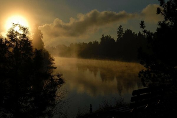 Incredible morning dawn covered with fog