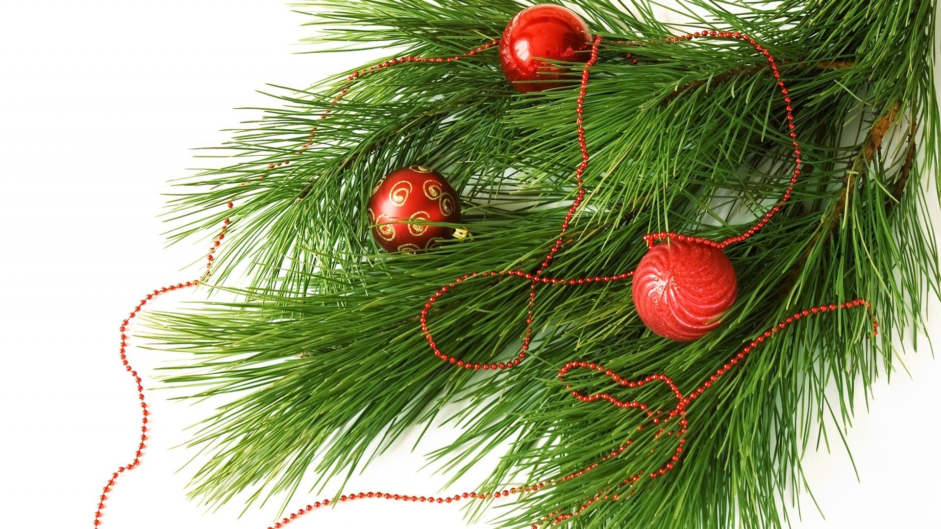 new year christmas pine decoration winter celebration season evergreen fir tree needle spruce ball desktop card conifer shining branch color isolated