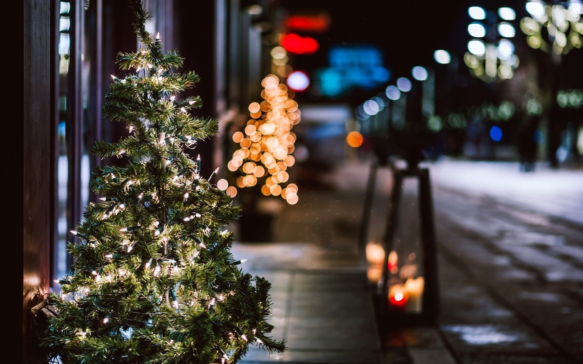 christmas winter christmas tree blur tree snow celebration street light city illuminated road wood evening