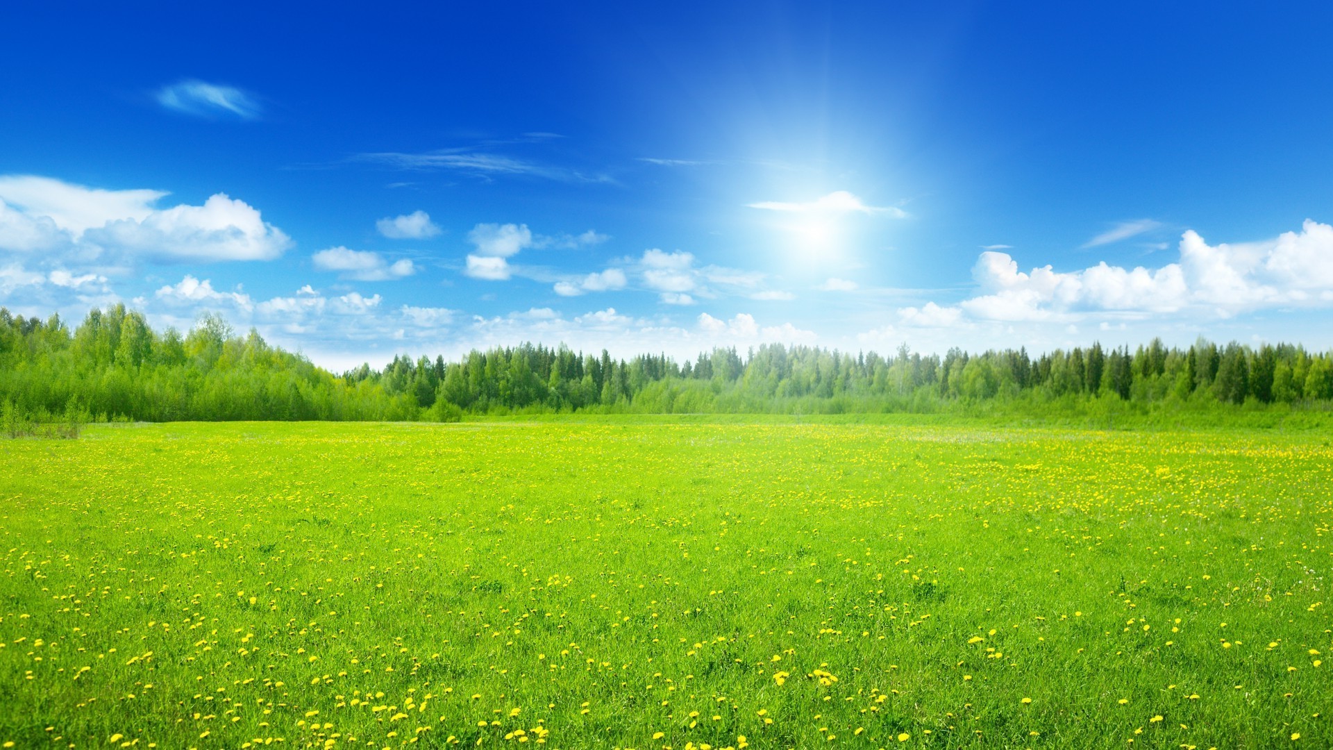 fields meadows and valleys grass hayfield summer field rural nature landscape pasture countryside fair weather sun lawn idyllic grassland soil farm sky bright