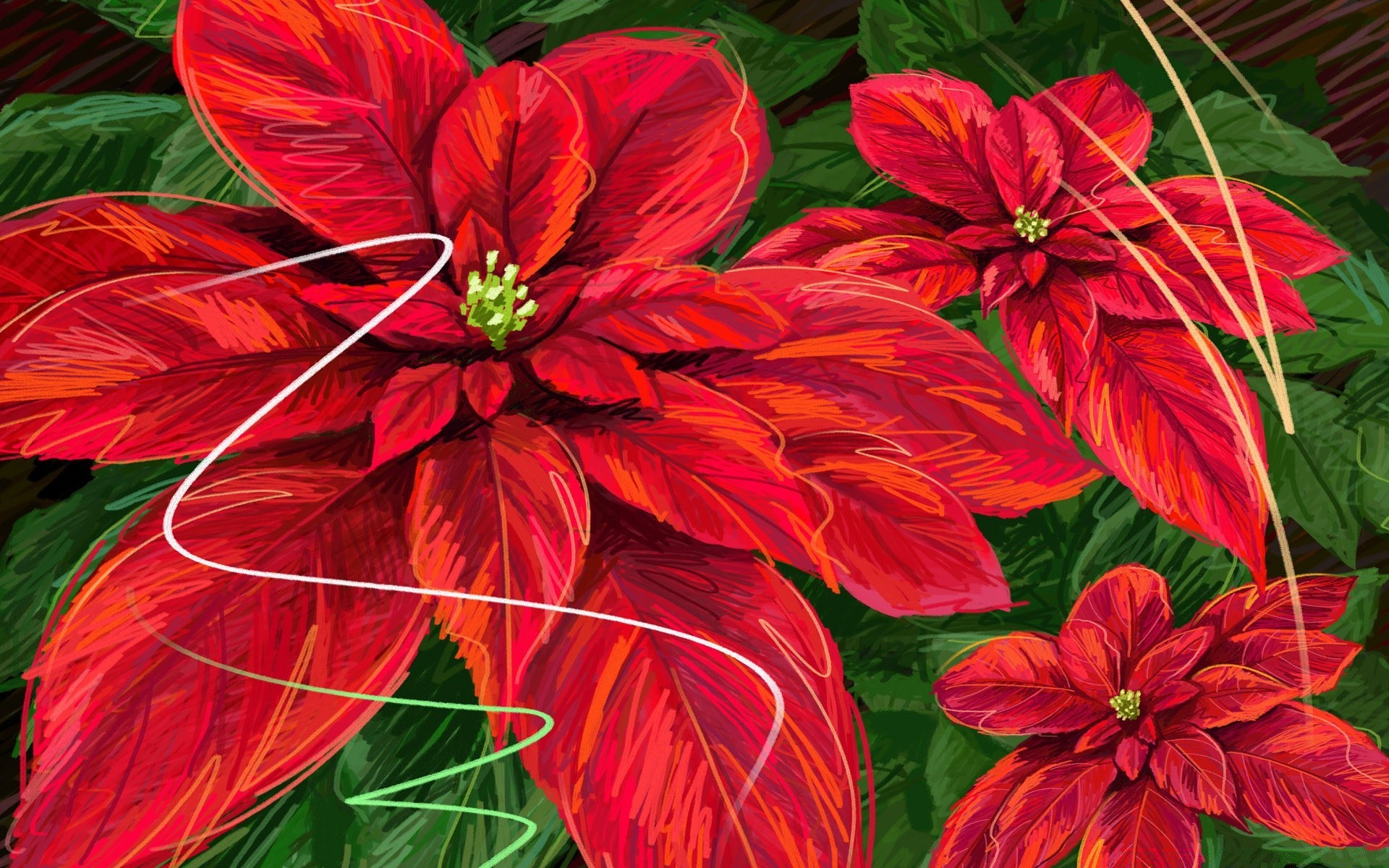 christmas nature flower flora leaf summer garden floral beautiful color petal decoration blooming tropical bright botanical season growth