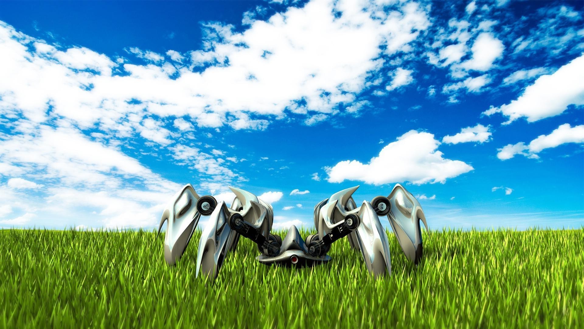 robots grass field nature hayfield summer sky rural landscape countryside pasture outdoors flora sun lawn farm horizon soil fair weather sight