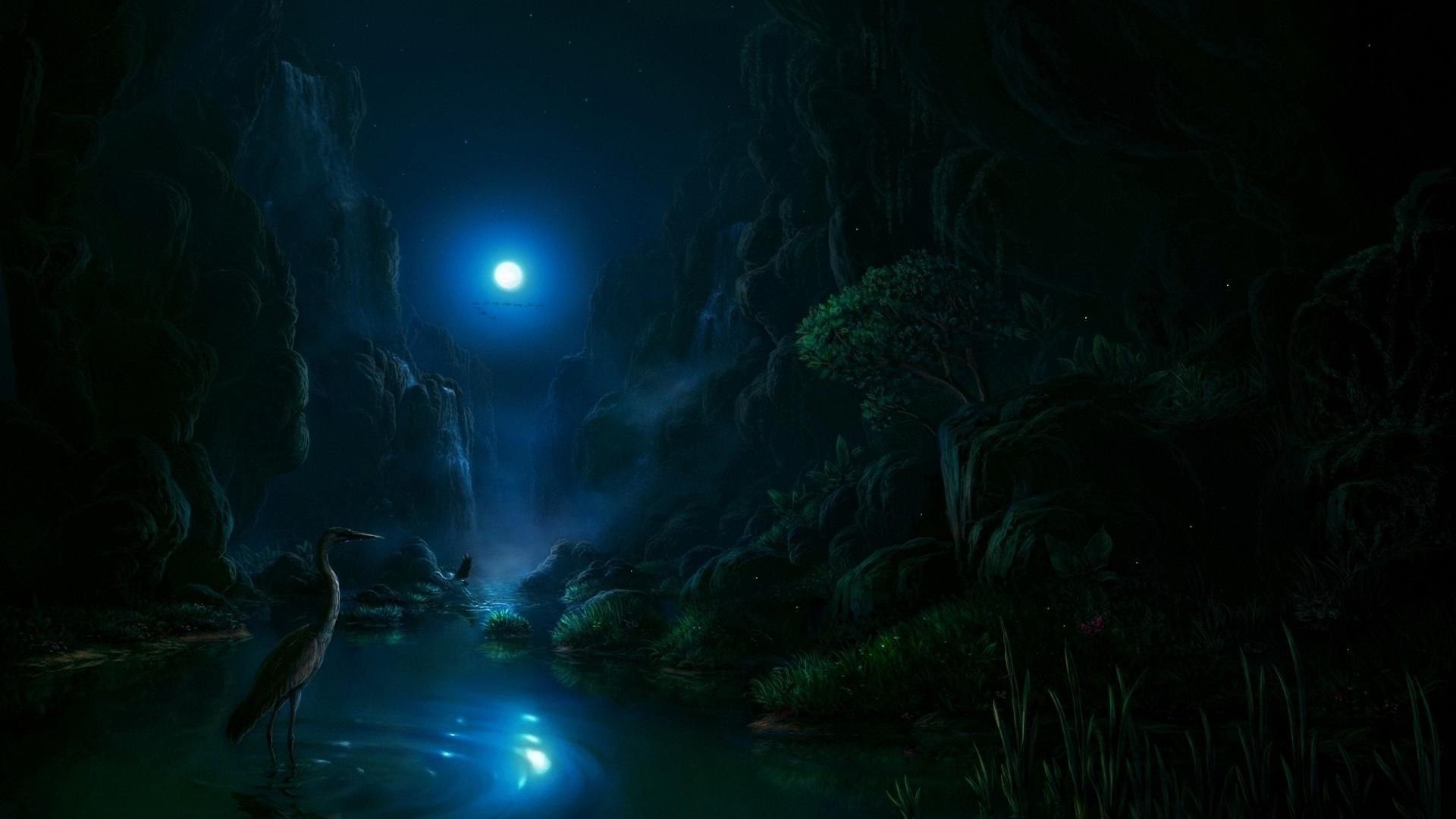 night evening twilight underwater water light exploration travel dark sun ocean