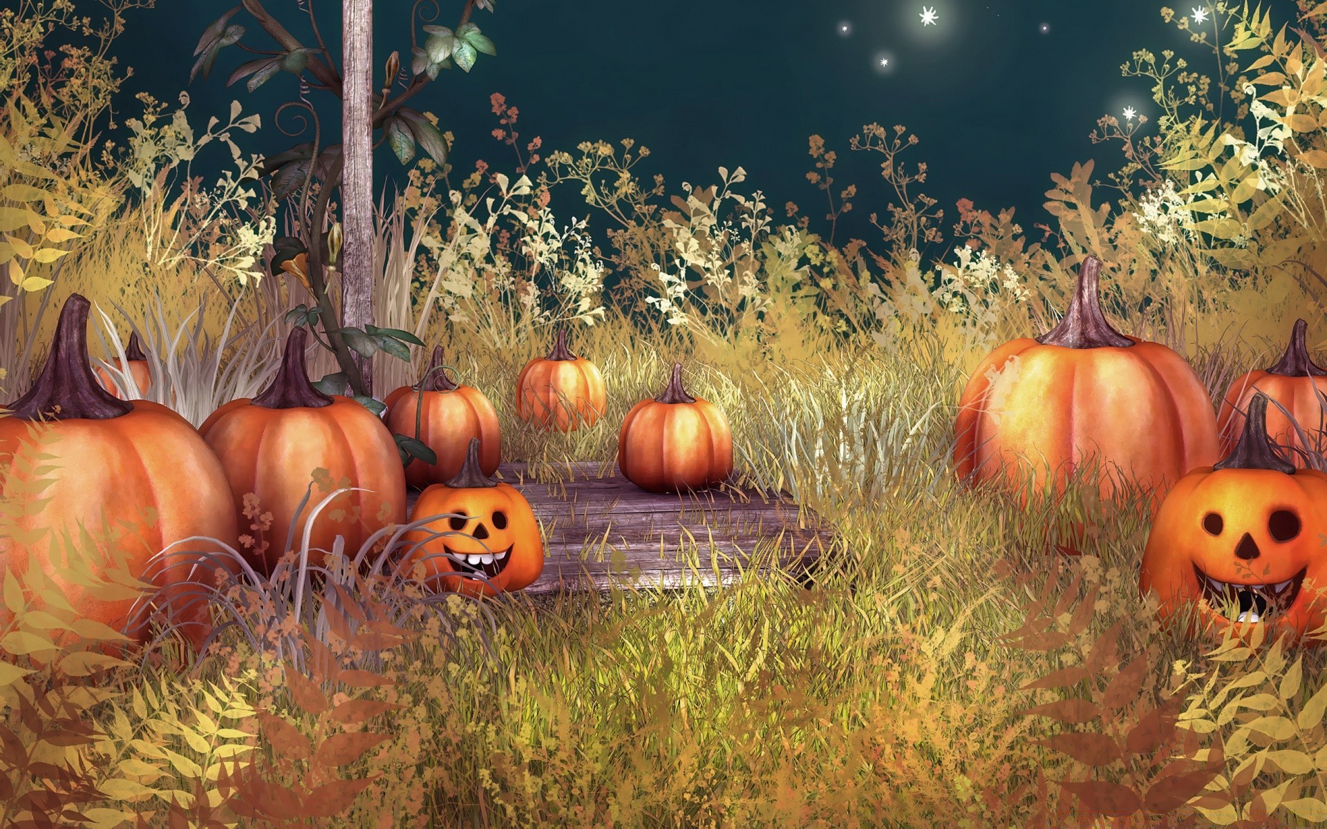 halloween pumpkin fall thanksgiving pasture lantern gourd grow ghost skittish scary eerie fruit food horror season agriculture
