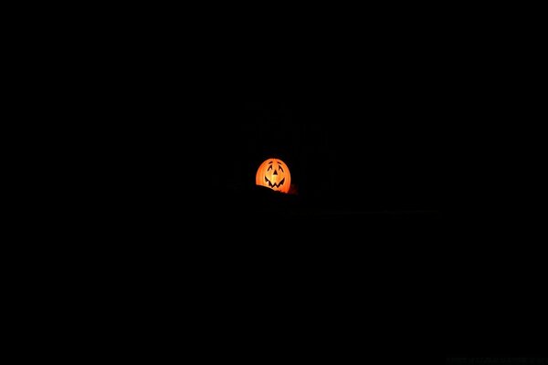 Glowing pumpkin on a black background
