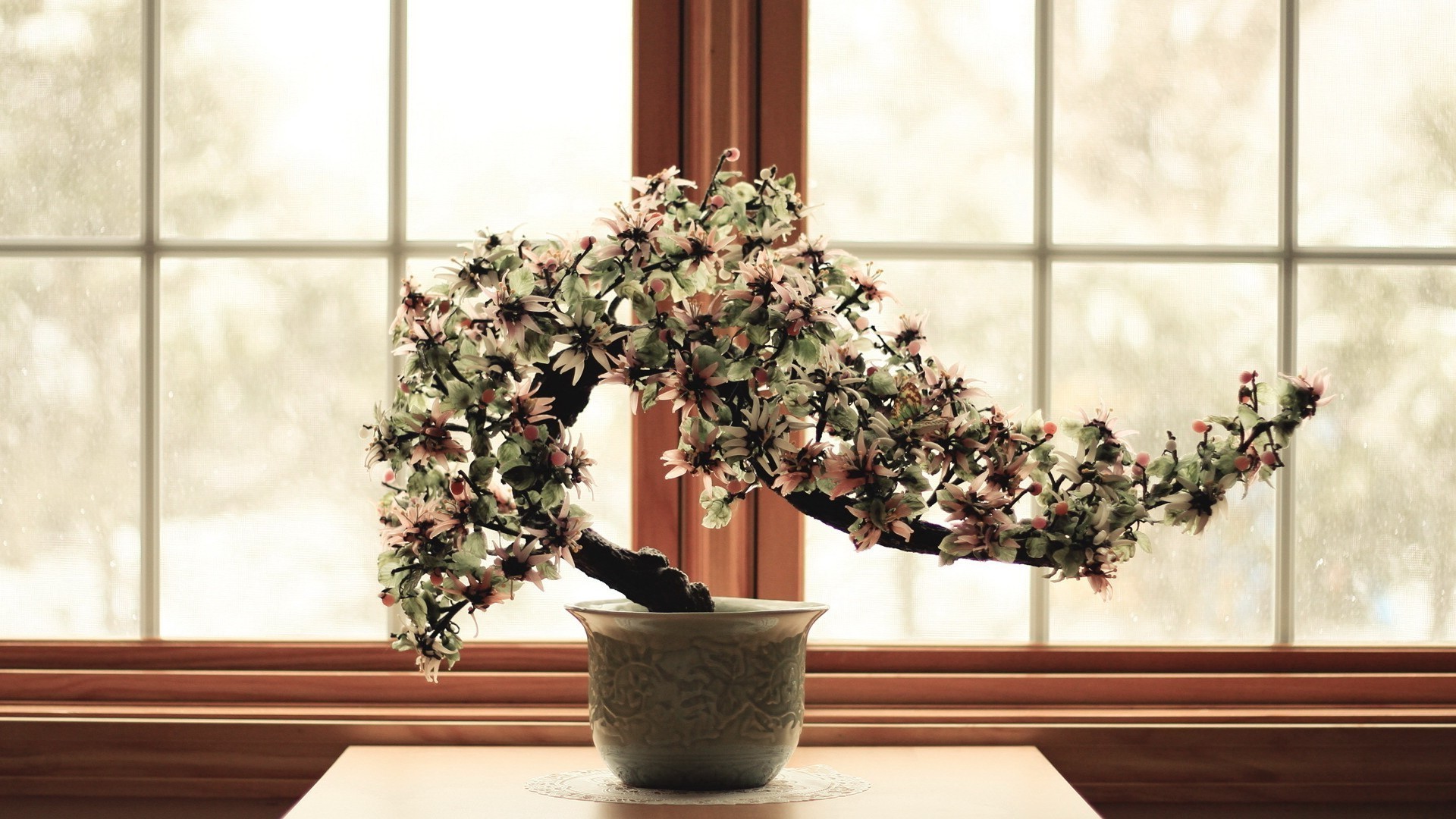 the flowers on the trees window pot flower indoors house houseplant vase flora flowerpot furniture garden decoration patio interior design room family leaf glass planter