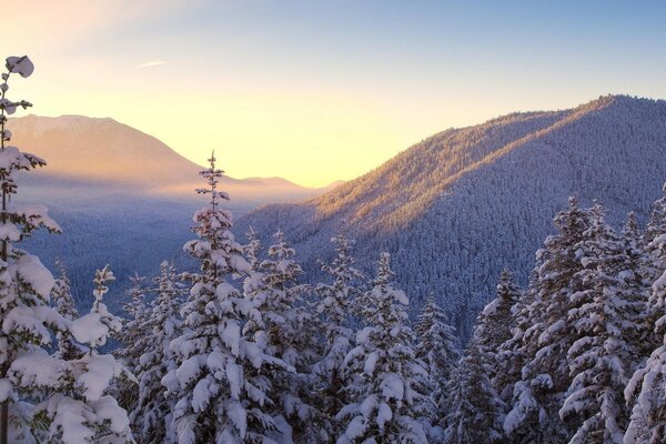 Snowy winter distance in the mountains