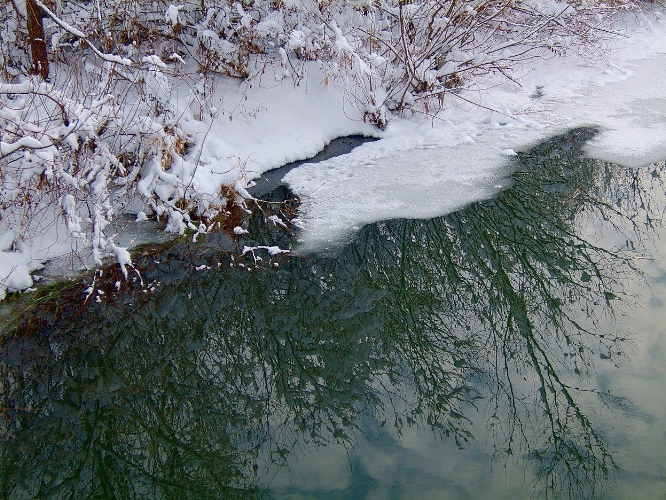 rivers ponds and streams winter snow water cold ice frost river nature landscape outdoors tree frozen weather stream waterfall environment wood frosty wet