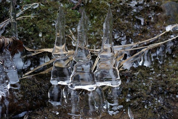 Three icicles stand like three soldiers
