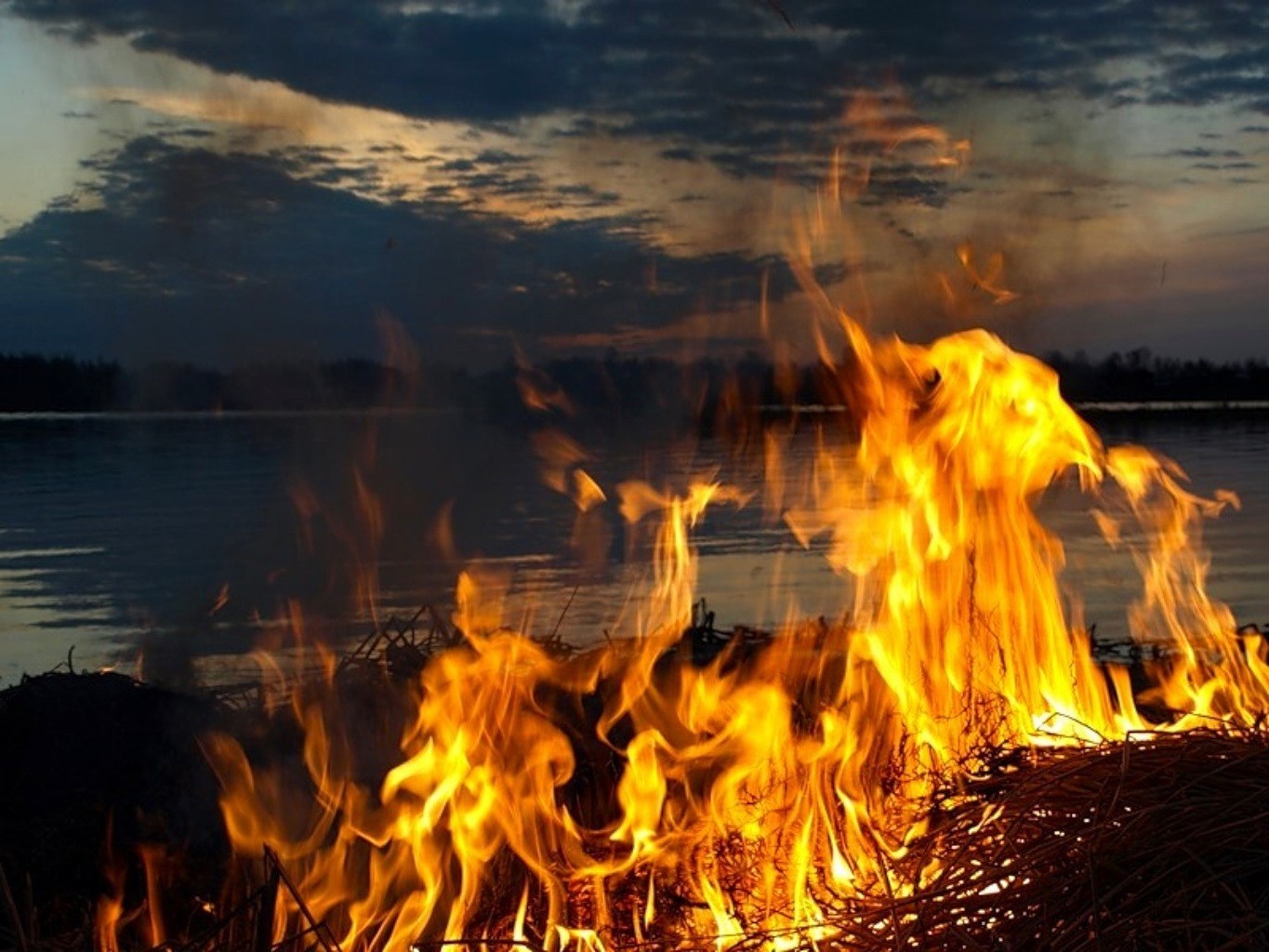 fire flame bonfire campfire heat hot firewood wildfire blaze inferno fireplace coal burn smoke warmly danger charcoal camp flammable ash fuel