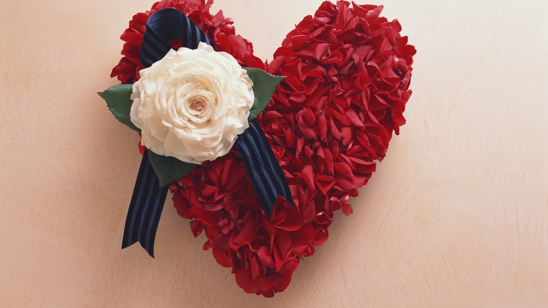 hearts rose love flower romance wedding gift romantic petal decoration floral celebration bouquet beautiful